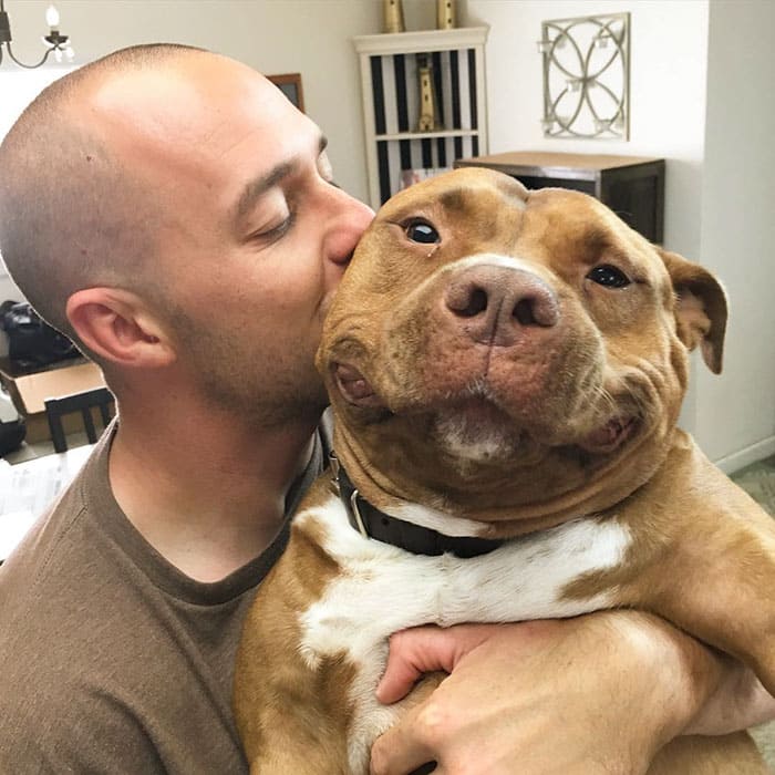 The dog is very happy to be adopted by good owners