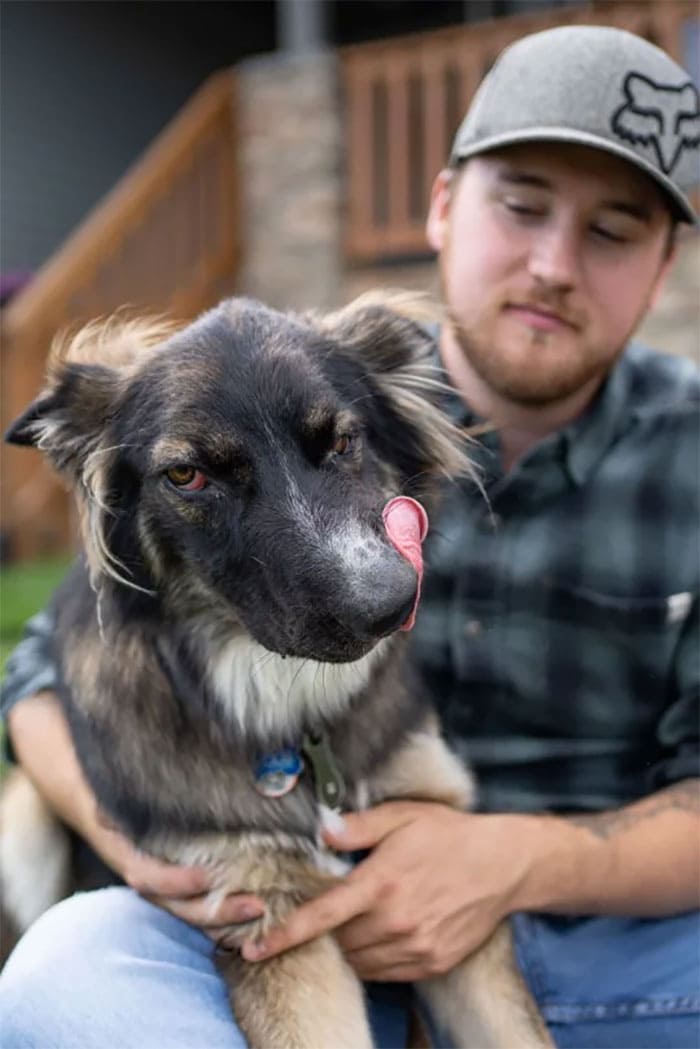 disfigured his face by his mother and now the dog is trained as a therapy dog